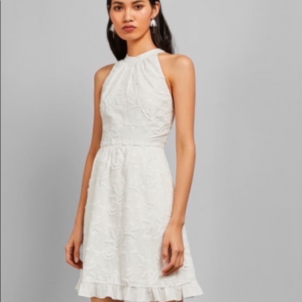 Lorene Halter Back Skater Embroidery Dress
